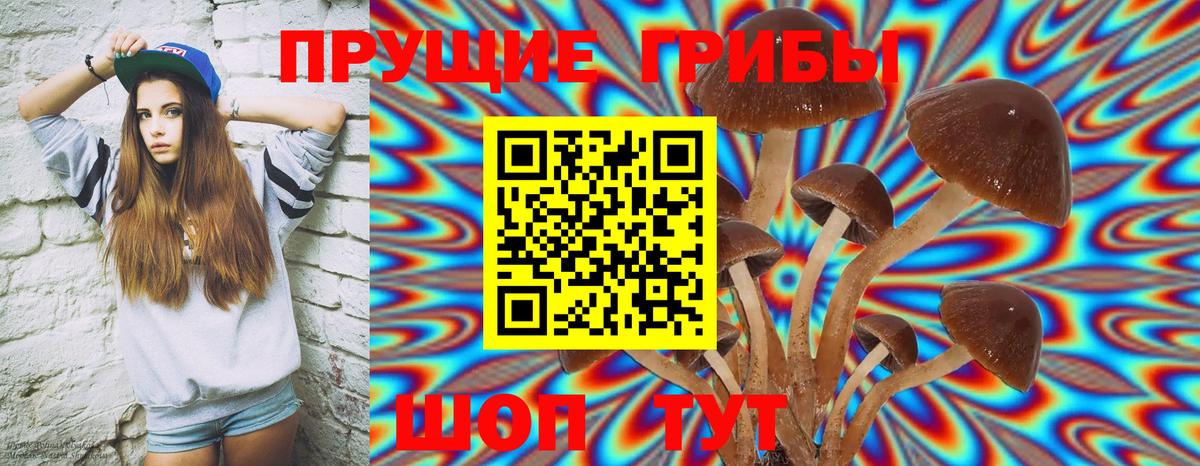 Галлюциногенные грибы Magic Shrooms Саранск