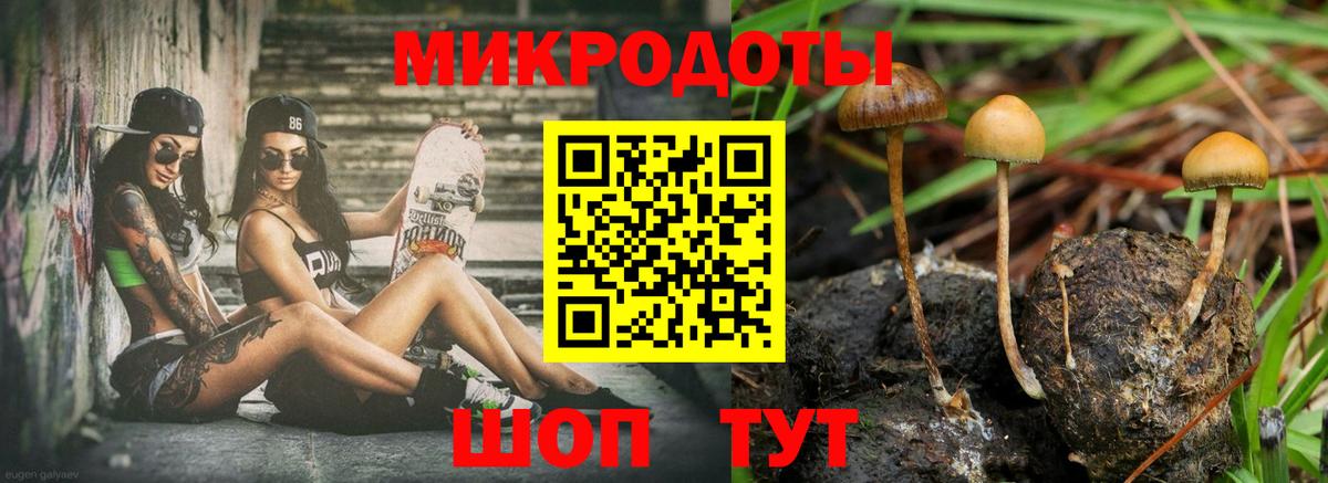 Саранск  Псилоцибиновые грибы GOLDEN TEACHER  Вход с VPN 